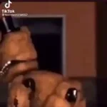 funny_82hiegE (copy)