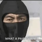 eeeeee!!! this stupid ninja!