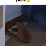 ya eh ya eh meme sound