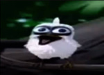 Bird laughing meme