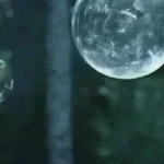 Its_Time_For_The_Perculator-413238-mobiles24