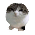 VERY VERY LOUD MUSIC