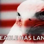 american-anthem-gun-and-eagle