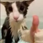 ta tendo tiroteiro prof