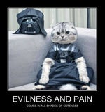 N ggas F N ggas by Corey Holcomb 3