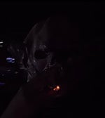 destroy lonely if looks could kill - Sound