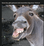 Pala Baba Kadına Nasıl Davranılır Emir Ver Ona, Domal De!