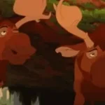 I Spy Brother Bear