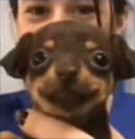 Ignore my Dad scream