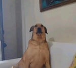 Eh Eh Ehhhh! (Meme Sound Effect) - Sound