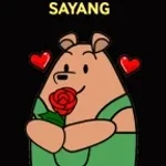 Aku sayang