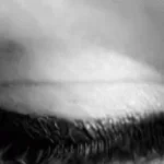 Recording 01/29/26 10:36:12 (copy)