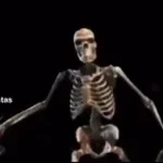 Sceleton Screaming RAAAAAAH