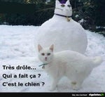 Calogero Un Jour Au Mauvais Endroit (Clip Officiel)