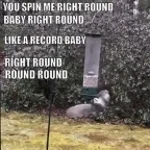 You Spin Me Right Round