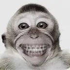 ไมค์ฟรี (copy) - Sound