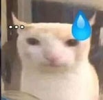 Crickets Akward Silence meme