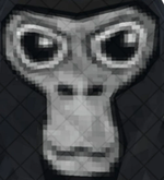 Canyon Spider Sound  Effect