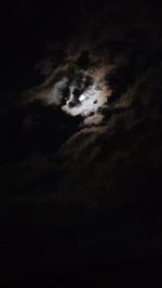 toma um vazio roxo piranha