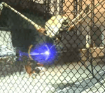 HL2: Strider at my window