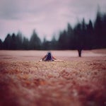 Speak softly and carry a