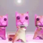 MIAU MIAU only (copy)