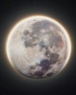 Tadhana Up Dharma Down