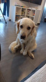 la main main elle s'enfonce dans la dugy