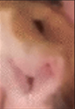 Woow! *clap* (3x) Sound Effect