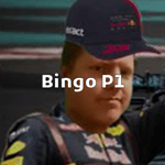 Bingo P1