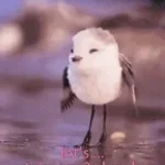 Passarinho AHHHHHHH meme - Iraq Mapper (youtube) - Sound