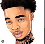 flightreacts dolphin laugh