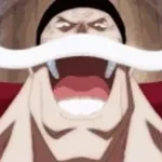 THE ONE PIECE!!!! IS REAL!