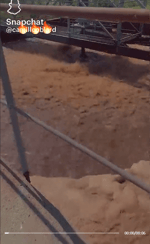 et les gars y'a du caca