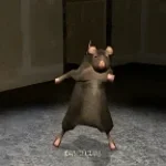 Rat dance