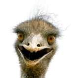 Kirby windows xp error music - Meta knights revenge