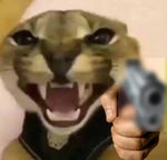 Floppa with a Gun (FNF)