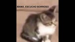 mama escucho borroso