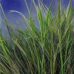 word:9 Gras. in Hindi its