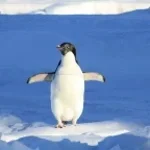 But one caught our eye