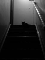 power outage…. Fnaf