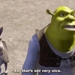 THAT'S NOT NIIIICEEUHHH