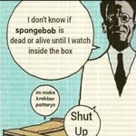 Schrödinger's Sponge