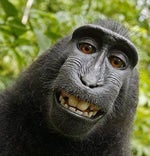 kazakhstan bombardier meme