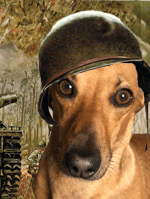 Half Sword In the pit