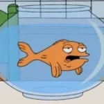 Klaus Ausshwitz german