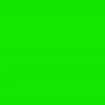 elephant green screen effect (copy)