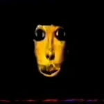 Susan Woodings death sound - Bunny Farm (copy)