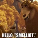 Hello, Smelliot!!
