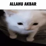 allah ahkbar